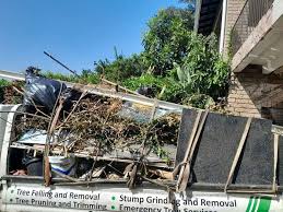 Best Basement Cleanout  in Hancock, MI